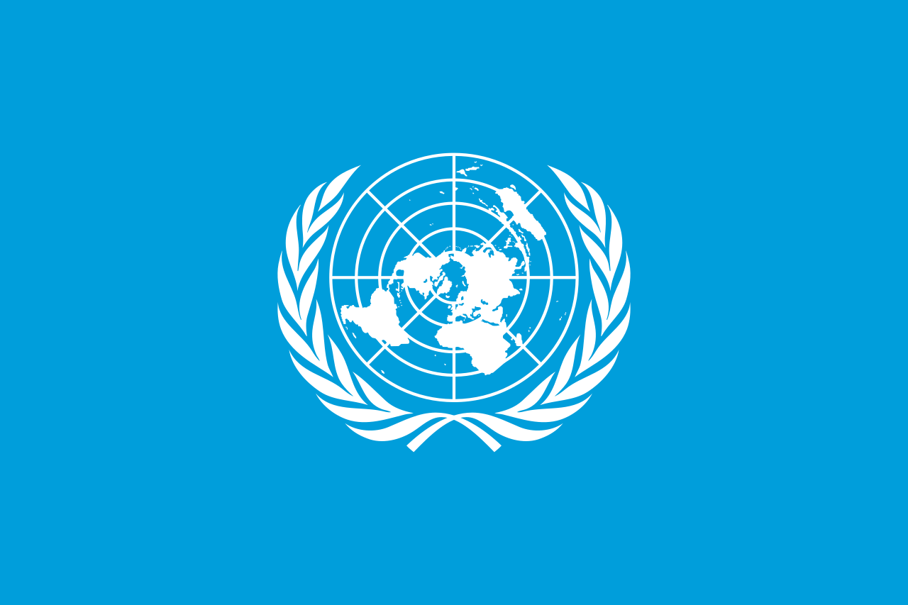 50/2022: Model United Nations